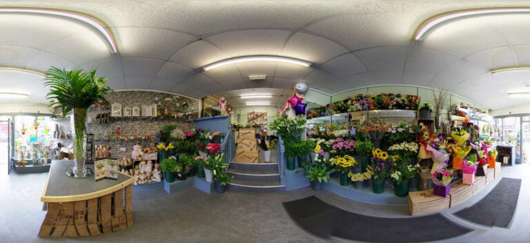 Buttercups And Daisies Manchester Google Virtual Tour